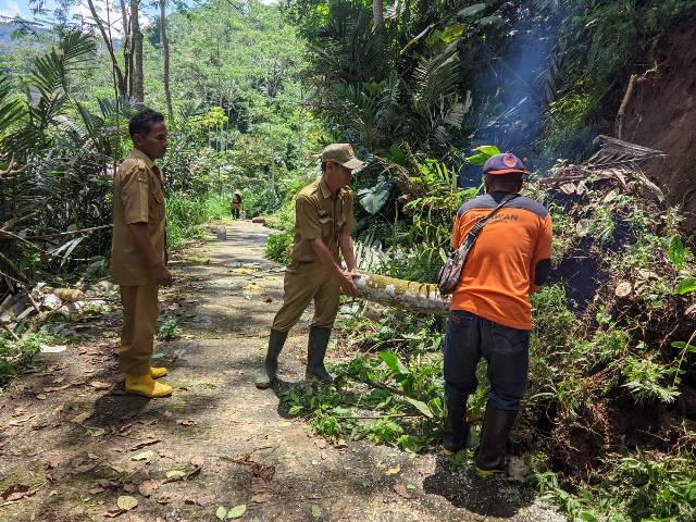 Gotong Royong Membersihkan Pohon Tumbang